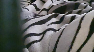 Muslim mom doesn't wear panties under skirt and has sex with son