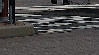 Step mom fucked through panties by step son while dad watch