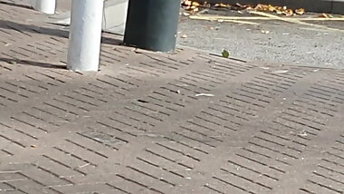 Step mom smoking weed after fucking step son in the car park