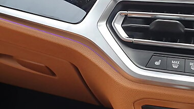 Busty Muslim has sex with Pakistani stepson in the car